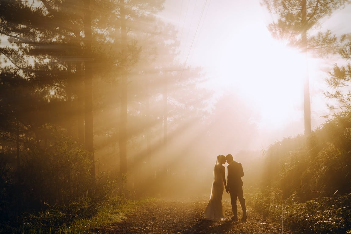 Vue arrière d'une mariée et d'un marié anonymes se tenant la main dans un bois, près d'arbres, avec un soleil radieux dans la nature.